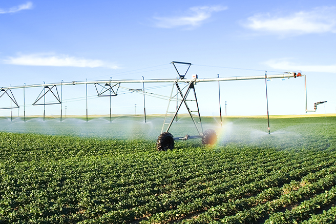 Irrigation in Water-Scarce Areas